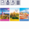 Тетрадь А4 в клетку "Путешествия. Travel more", 80 листов