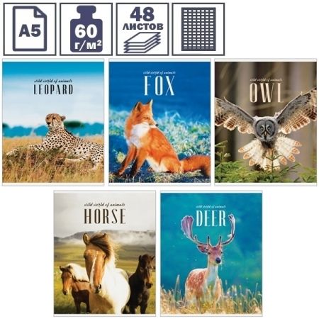Тетрадь А5 в клетку на скрепке ArtSpace "Природа. World of animals", 48 листов